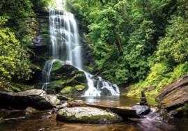 Fotobehang Waterval in bos