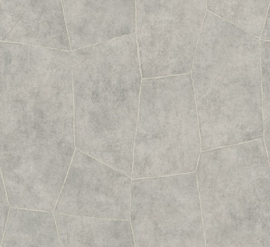 Hookedonwalls Livingstone Flagstone 53725 (met gratis lijm!)