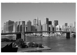 Fotobehang Manhattan grijs