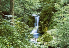Fotobehang Idealdecor 00279 Waterfall in Spring