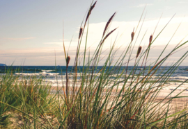 Fotobehang Beach Coastline