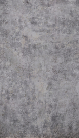 Dutch One Roll One Motif M06001 fotowand 159cm  x 280cm hoog (met gratis lijm!)