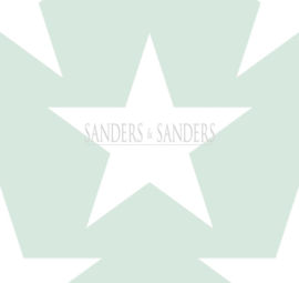 Behang Sanders & Sanders Trends&More 935258 sterren