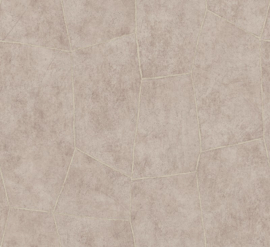 Hookedonwalls Livingstone Flagstone 53721 (met gratis lijm!)