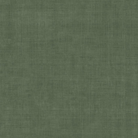 Dutch First Class Grafico Granskott 16041 (met gratis lijm!)