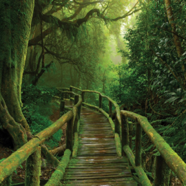 Fotobehang Wilde brug door de jungle