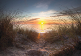 Fotobehang Duinen uitzicht met zonsondergang