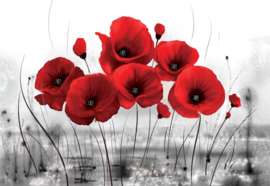 Fotobehang Red Poppies