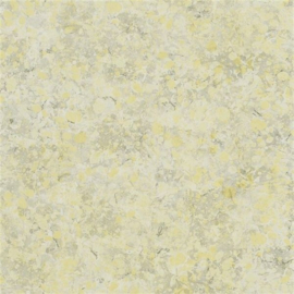 Designers Guild PDG1025/03 Lustro (met gratis lijm!)