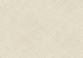 Hookedonwalls Sandstone Grid 53784 (met gratis lijm!)