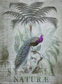 Fotowand Peacock jungle 1 by Andrea Haase afm. 200cm x 270cm hoog