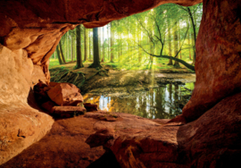 Fotobehang Zonnig bos vanuit grot