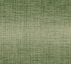 Arte Ombré Fade 32304 Crocodile (met gratis lijm!)