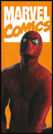 Komar Into Adventure IADX2-070 Spider-Man Comic 100cm x 250cm hoog