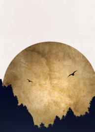 Fotowand Two birds by Kubistika afm. 200cm x 280cm hoog