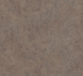 Hookedonwalls Livingstone Flagstone 53723 (met gratis lijm!)