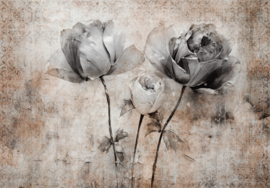 Fotobehang Vintage zwart wit rozen