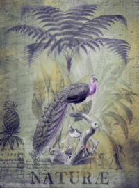 Fotowand Peacock jungle 2 by Andrea Haase afm. 200cm x 270cm hoog