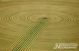 Fotobehang Noordwand Farm life 3750015 Stripes