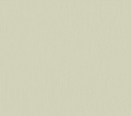 Arte Contract Arundo 67750 Aloe Wash (met gratis lijm!)
