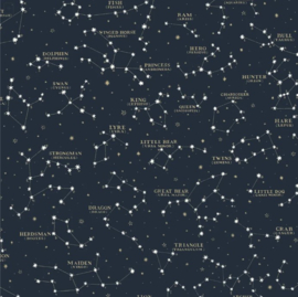 Ralph Lauren Coastal Papers PRL5041/01 Starry Sky