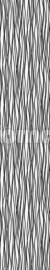 Komar fotobehang V1-718 Zebra