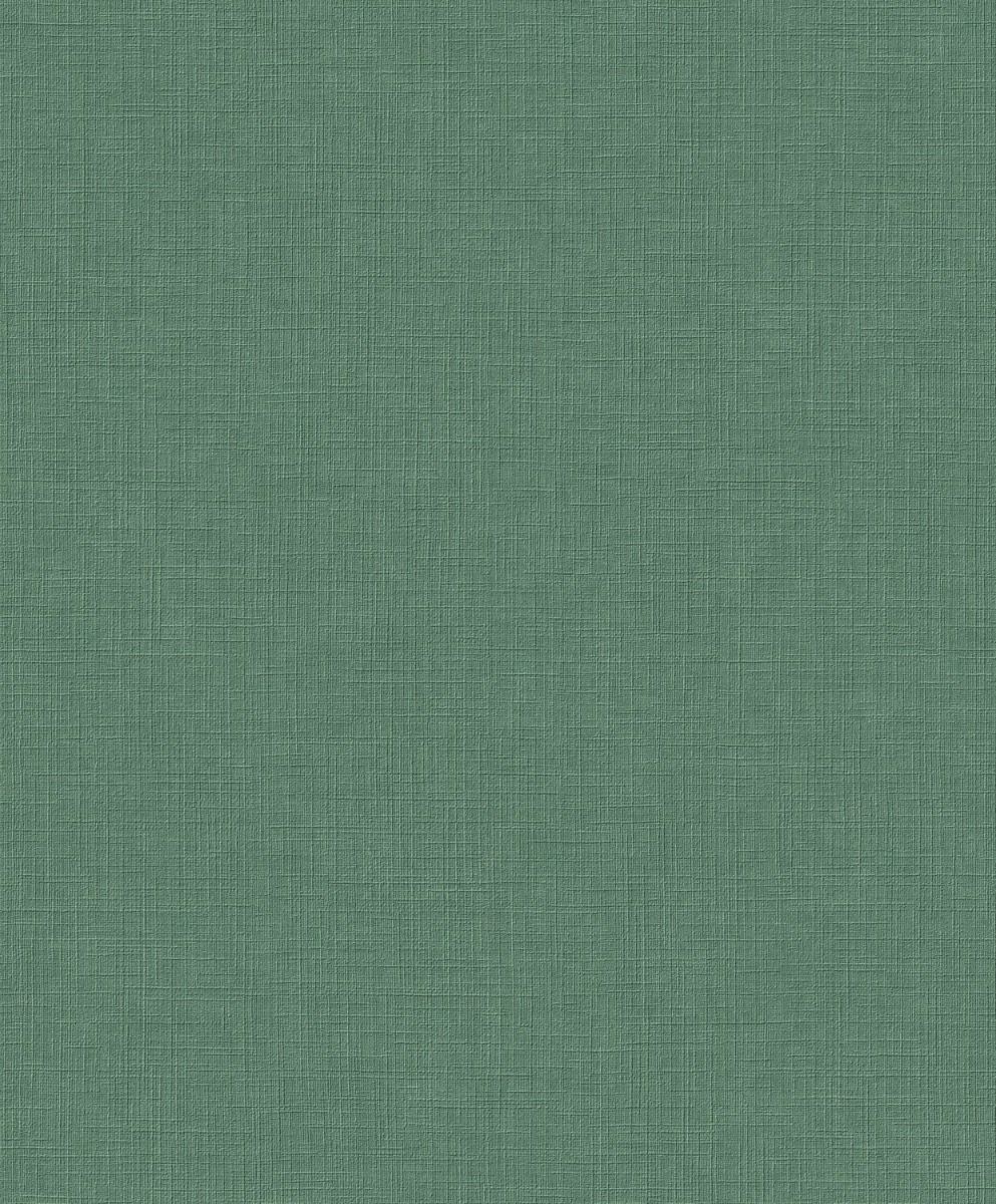Dutch Karuna A71009
