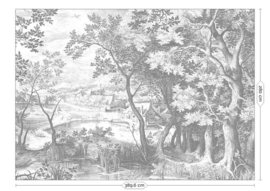 Kek Book V wp-649 Engraved Landscapes 389,6cm breed x 280cm hoog (met gratis lijm!)