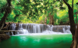 Fotobehang Waterval in Bosmeer