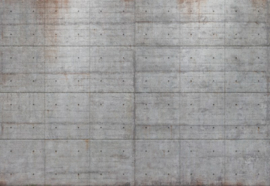 Komar 8-938 Concrete Blocks 368cm x 254cm hoog
