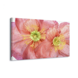 Canvasdoek Bloemen