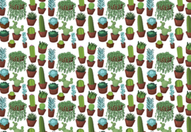 Fotobehang Cactus Pattern
