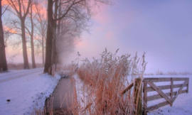 Fotobehang Holland 9890 - Winterochtend |||