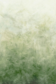 Arte Ombré Flux 32382 Emerald Haze 204cm breed x 320cm hoog (met gratis lijm!)