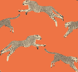 Hookedonwalls Scalamandré JV26017 Leaping Cheetah (met gratis lijm!)