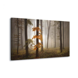 Canvasdoek In het bos