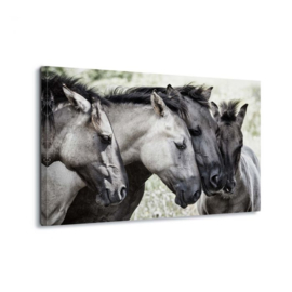 Canvasdoek Paarden