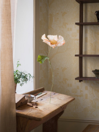 Boras Fairyland 8145 Kingdom of the Willow (met gratis lijm!)