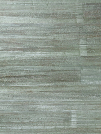 Arte All Naturals Camago 14010A Glazed Sage (met gratis lijm!)