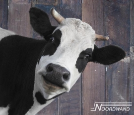 Fotobehang Noordwand Farm life 3750074 Barn cow