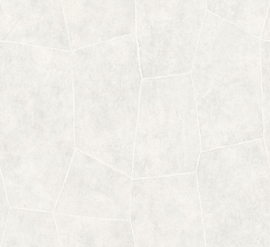 Hookedonwalls Livingstone Flagstone 53724 (met gratis lijm!)