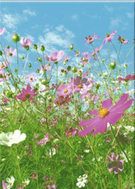 Fotobehang Idealdecor 00367 Meadow