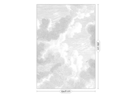 Kek Book V wp-621 Engraved Clouds 194,8cm breed x 280cm hoog (met gratis lijm!)