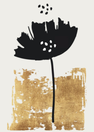 Fotowand Black poppy by Kubistika afm. 200cm x 280cm hoog