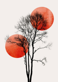 Fotowand Sun and Moon by Kubistika afm. 200cm x 280cm hoog