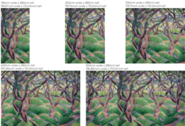 Annet Weelink Landscapes Vol.2 Wild Strokes (met gratis lijm!)