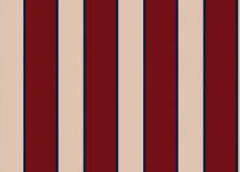 Hookedonwalls Stripes & Stripes 90796 Listras (met gratis lijm!)