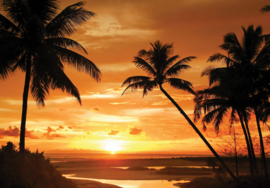 Fotobehang Strand met zonsondergang