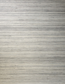 Arte All Naturals Line 80711C Silver Shadow (met gratis lijm!)