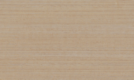 Arte Contract 67004 Silkx (met gratis lijm!)